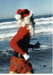 http://www.runworks.com/templates/runworksClean/images/photos/santa_running.jpg